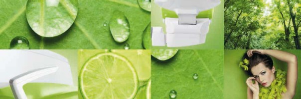 KaVo Greenery Edition – alles im grünen Bereich